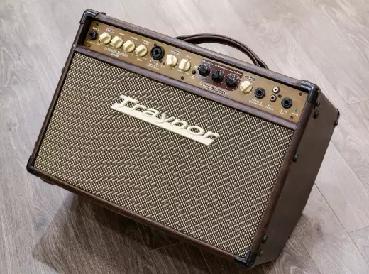 Traynor - 2-Channel Compact Stereo Acoustic Guitar Amp - 65 Watts
